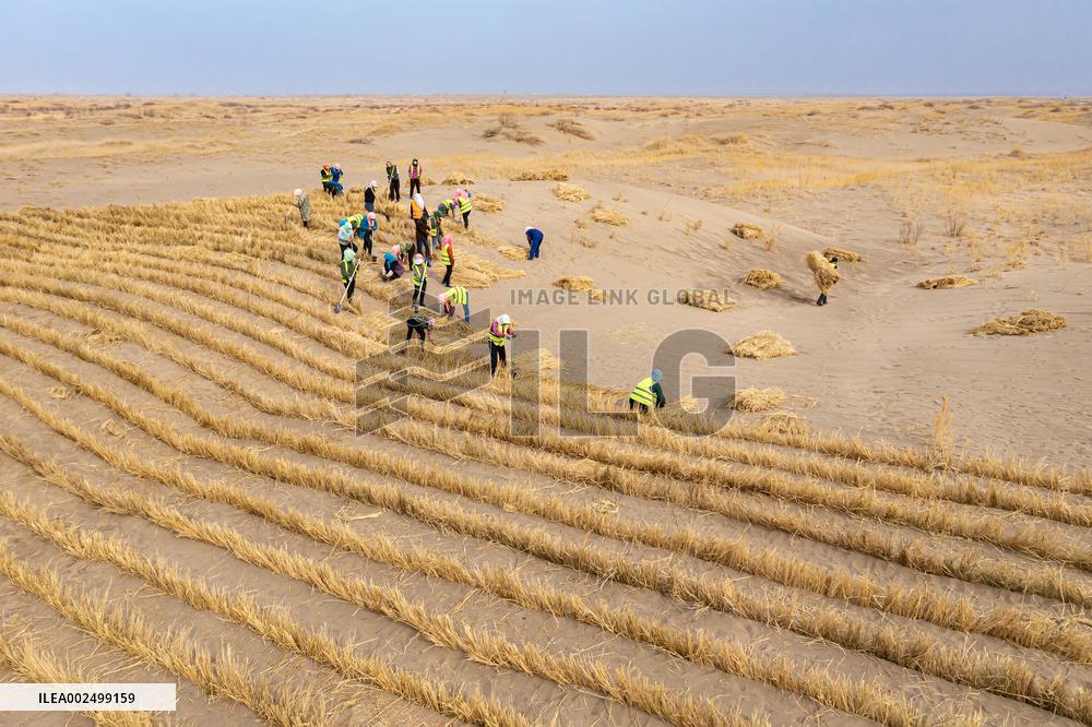 Afforestation And Greening Along The Jinhe Highway in Jiuquan