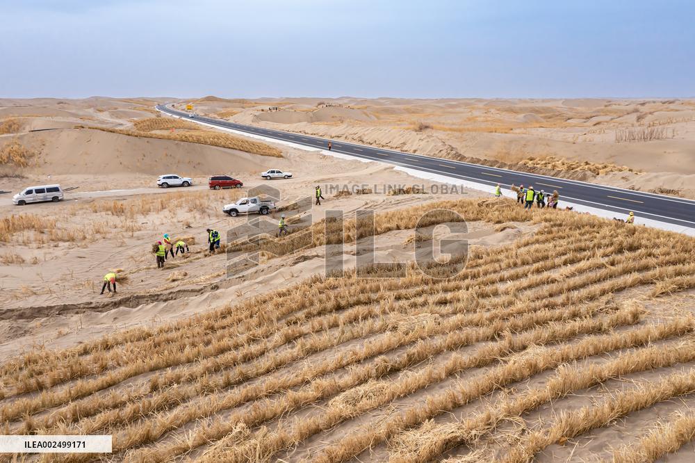 Afforestation And Greening Along The Jinhe Highway in Jiuquan