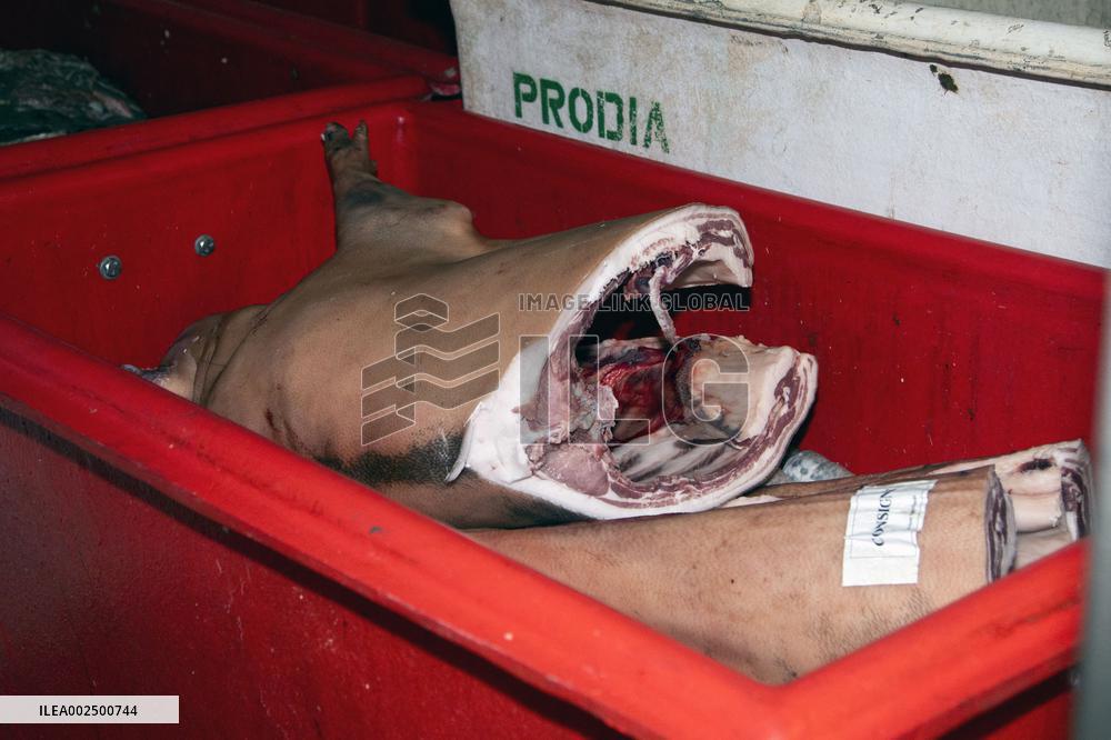 Illustration Of A Slaughterhouse - France