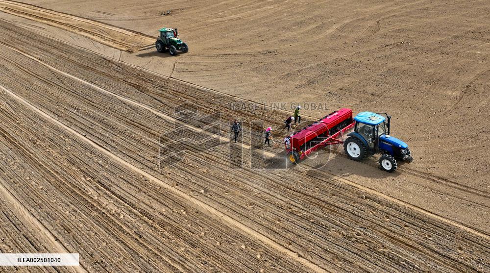 Beidou Navigation Wheat Sowing in Zhangye