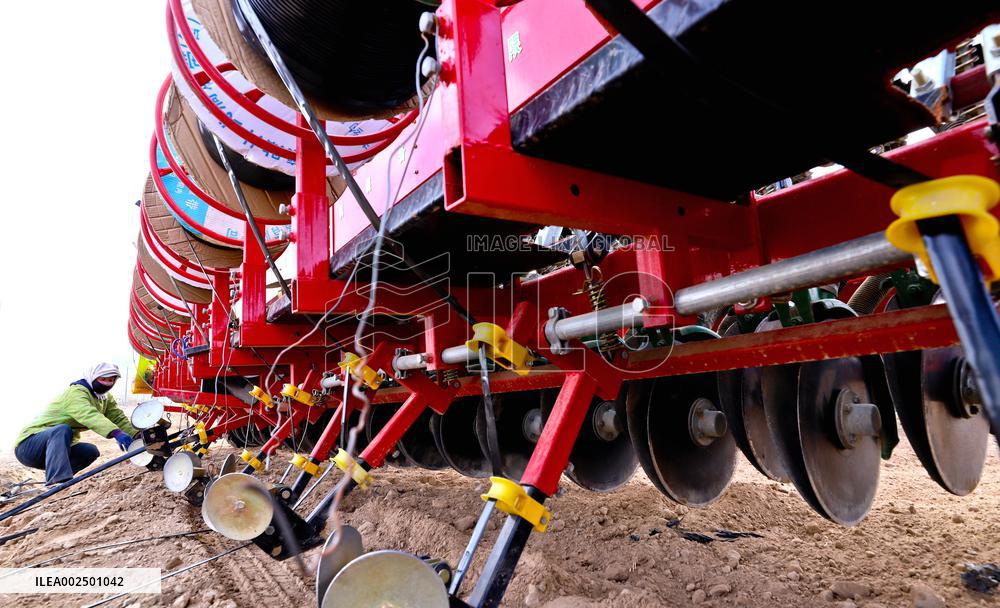 Beidou Navigation Wheat Sowing in Zhangye