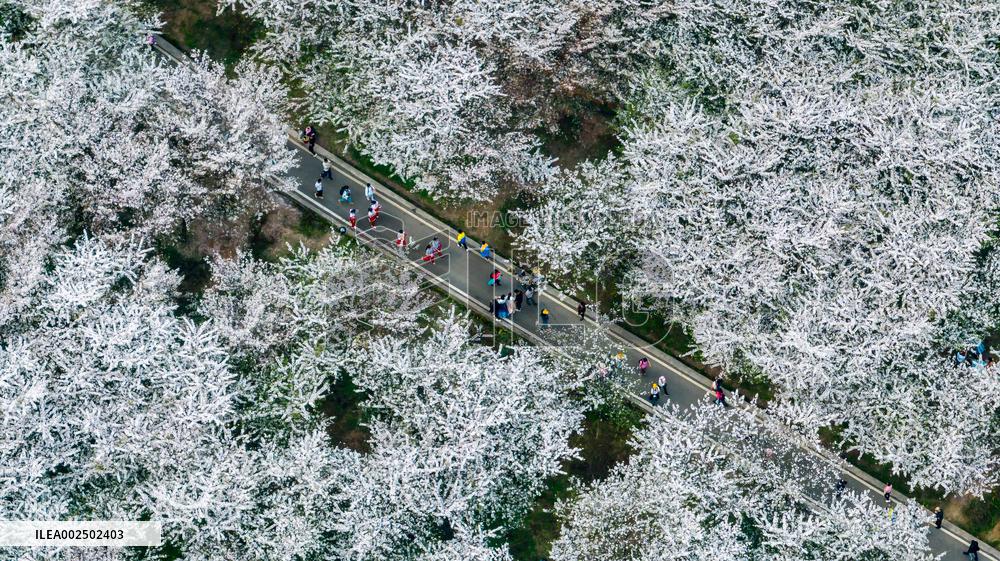 XINHUA PHOTOS OF THE DAY