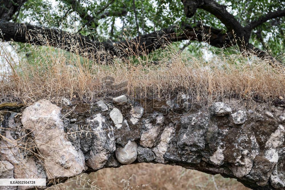 Palestinian Deserted Homes