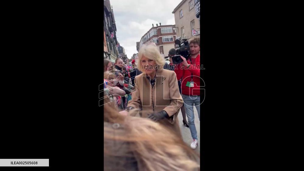 UK: Endearing Moment Queen Camilla Obliges To Selfie Request From 11-Year-Old Boy
