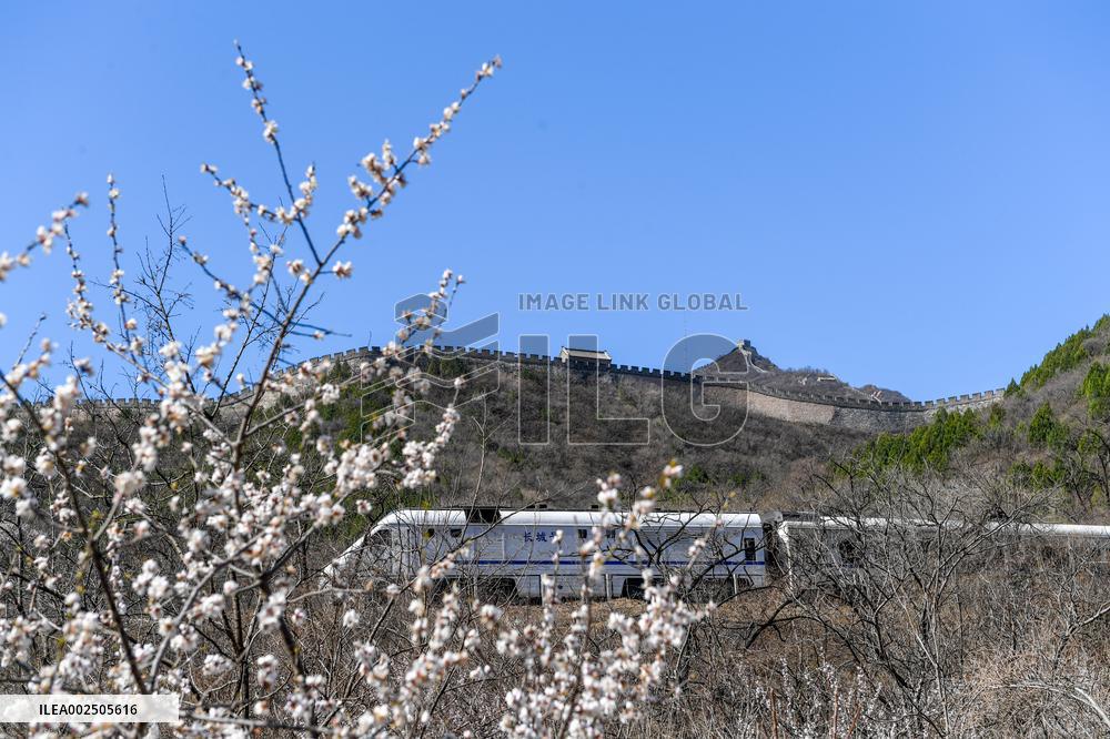 CHINA-BEIJING-SPRING-BLOOMING FLOWERS-TRAIN (CN)