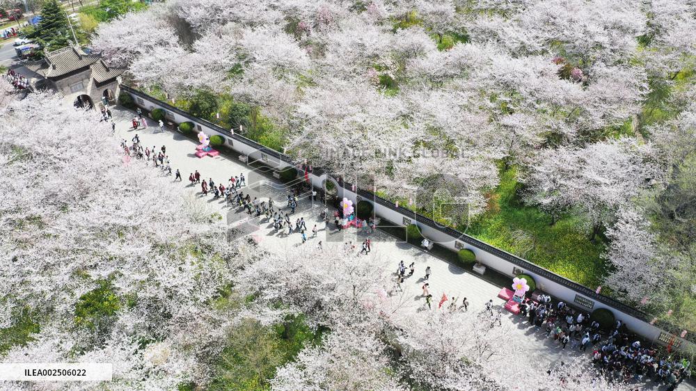 #CHINA-SPRING-SCENERY (CN)