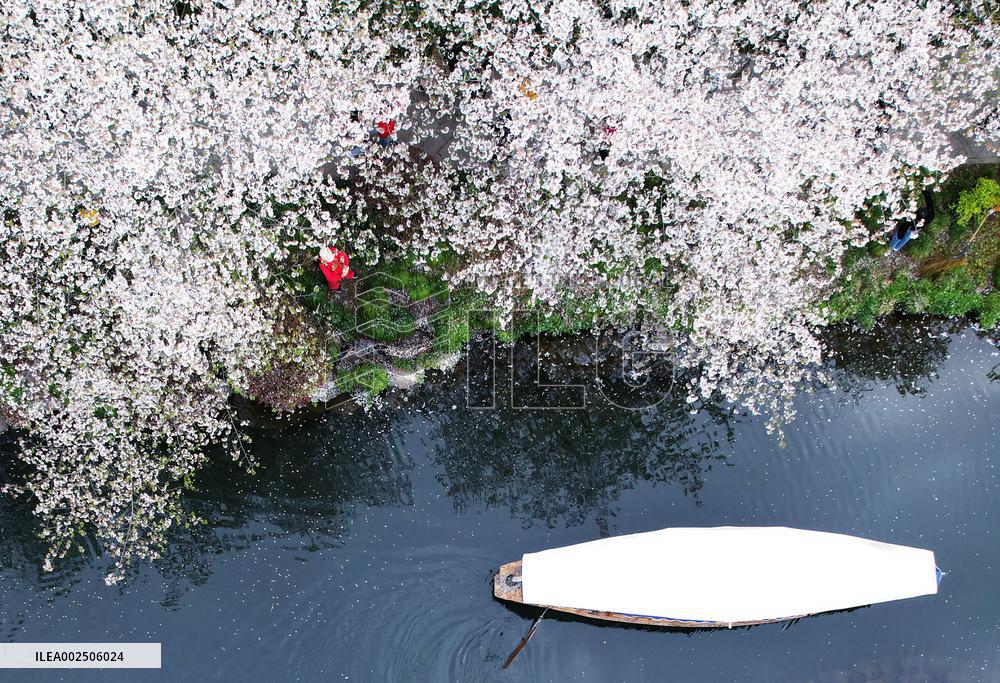 #CHINA-SPRING-SCENERY (CN)