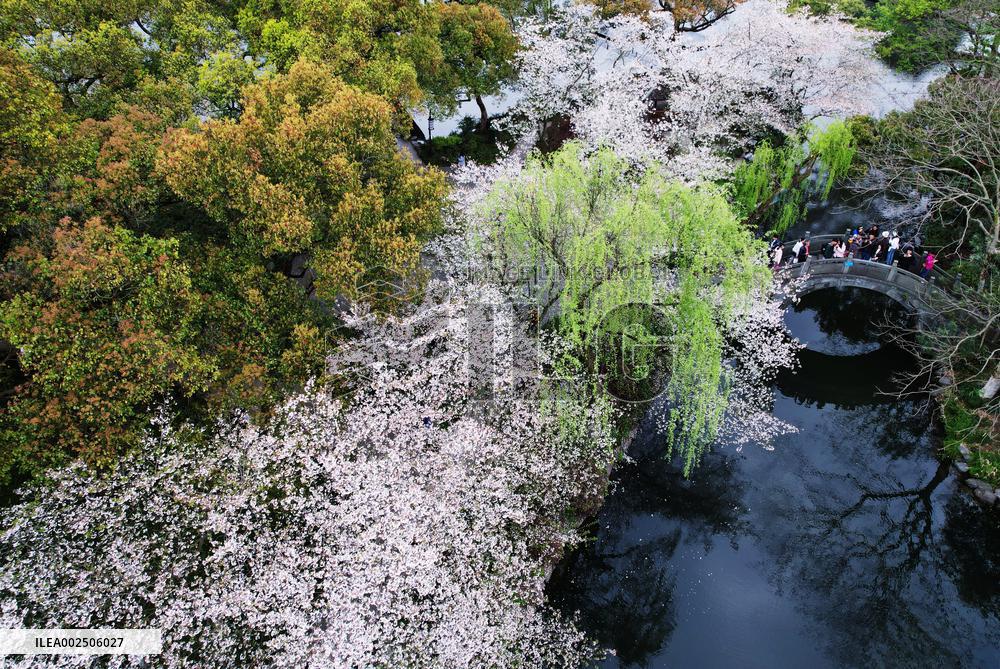 #CHINA-SPRING-SCENERY (CN)
