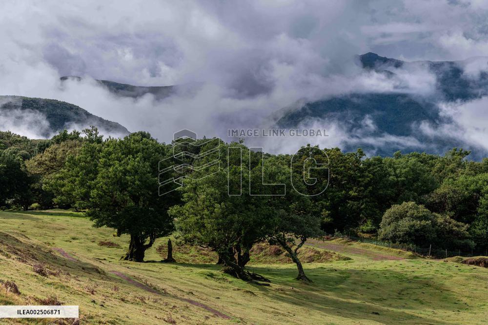 French Couple Still Missing In Madeira