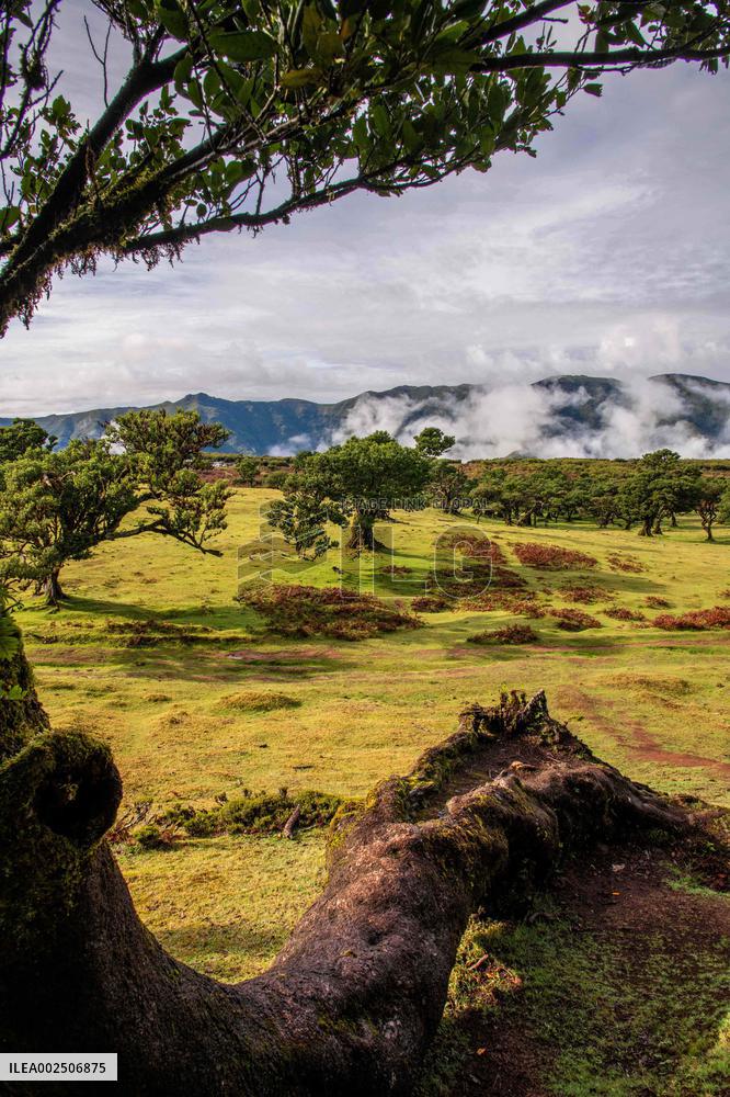 French Couple Still Missing In Madeira