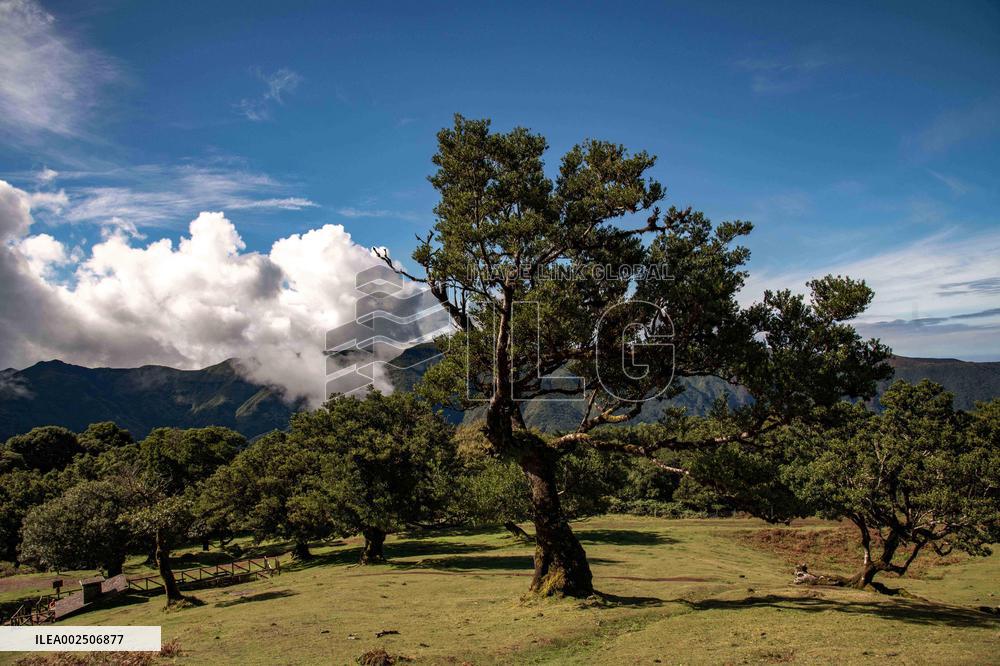 French Couple Still Missing In Madeira