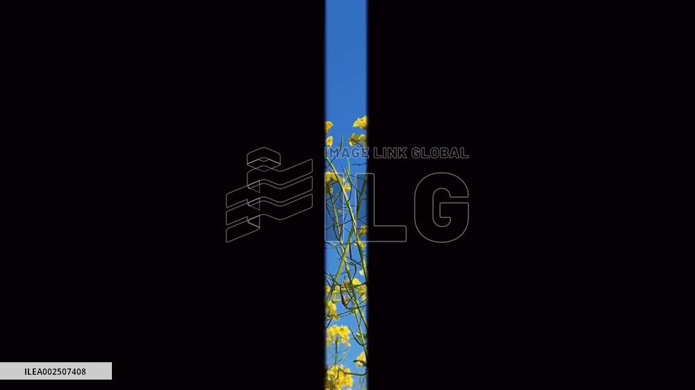 Farmers become models among the beautiful scenery of Wuyuan