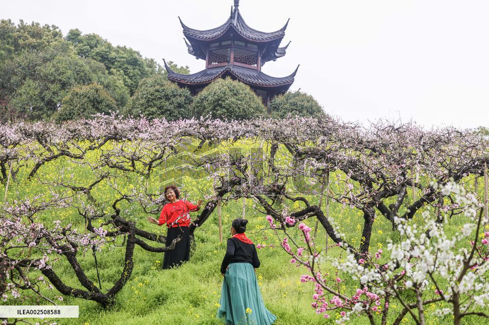 (ZhejiangPictorial)CHINA-ZHEJIANG-SPRING SCENERY (CN)