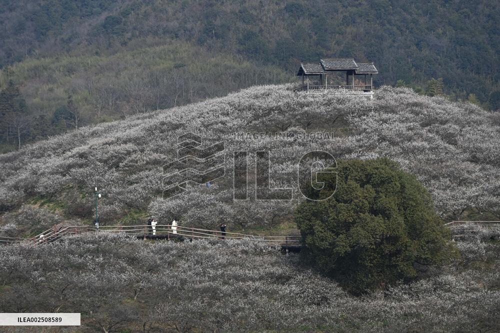 (ZhejiangPictorial)CHINA-ZHEJIANG-SPRING SCENERY (CN)