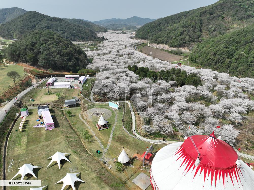 (ZhejiangPictorial)CHINA-ZHEJIANG-SPRING SCENERY (CN)