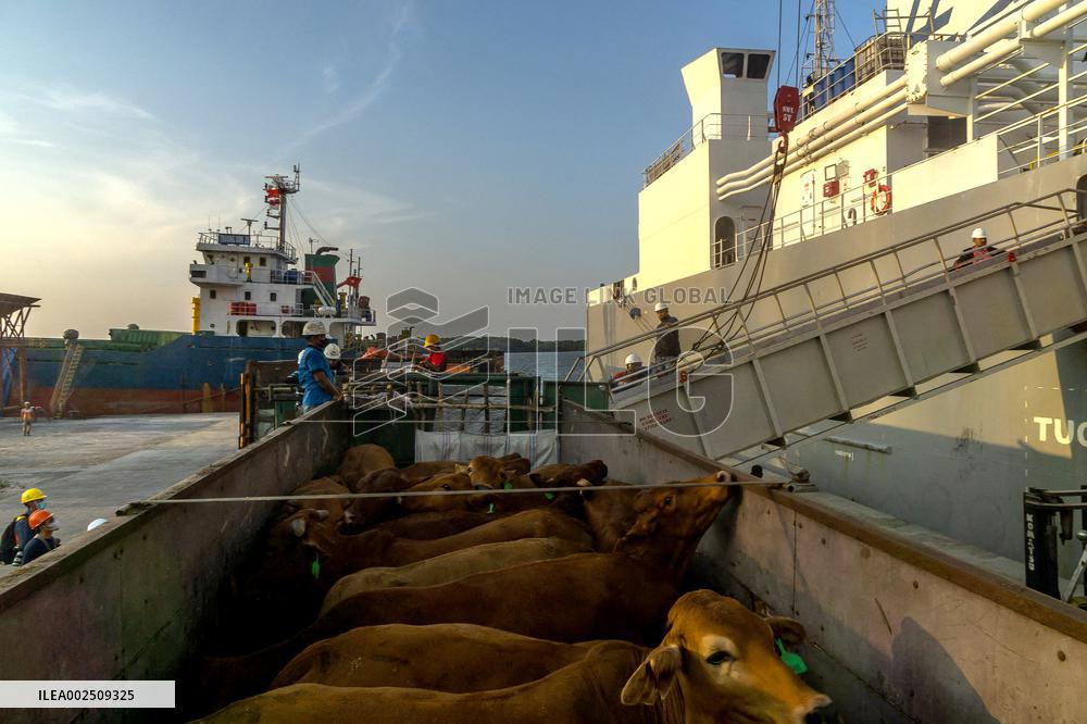 Two Years of Pelindo Transformations - Indonesia