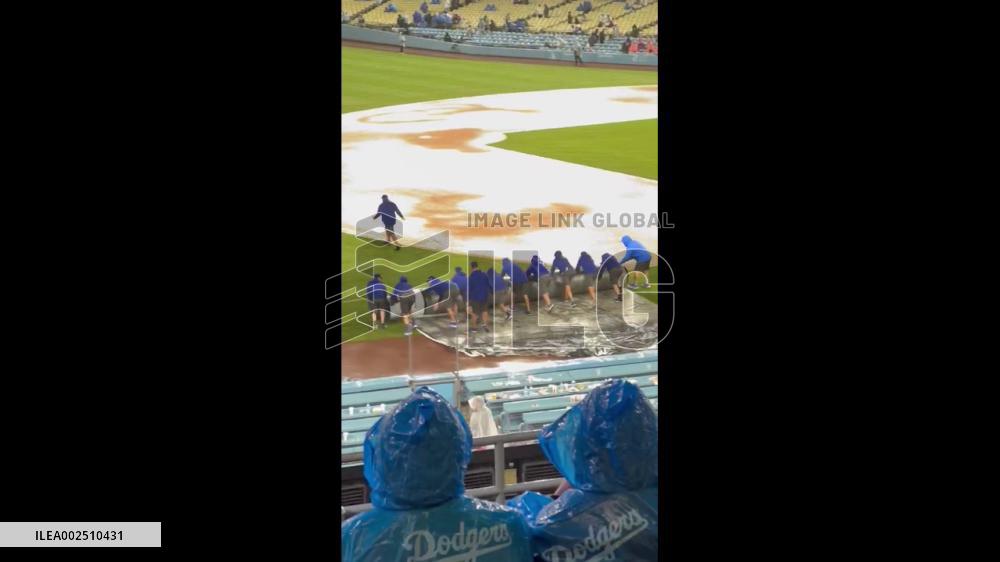 US: Dodgers Vs. Cardinals Game Temporarily Suspended Due To Heavy Rain