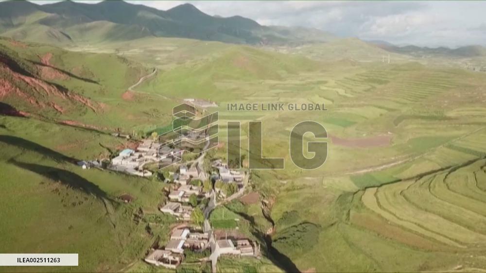 Int'l experts speak positively about rural revitalization in China