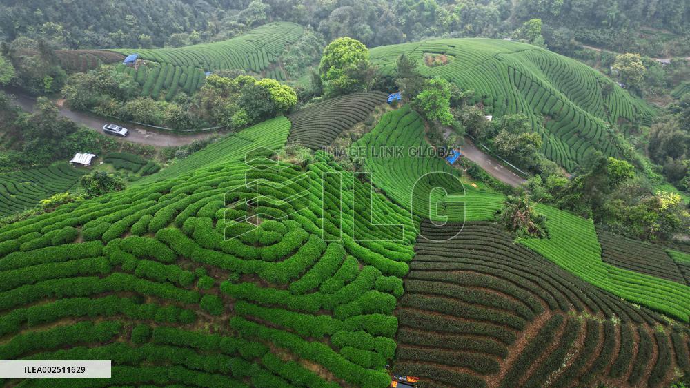 (EnchantingGuangxi)CHINA-GUANGXI-SPRING SCENERY (CN)