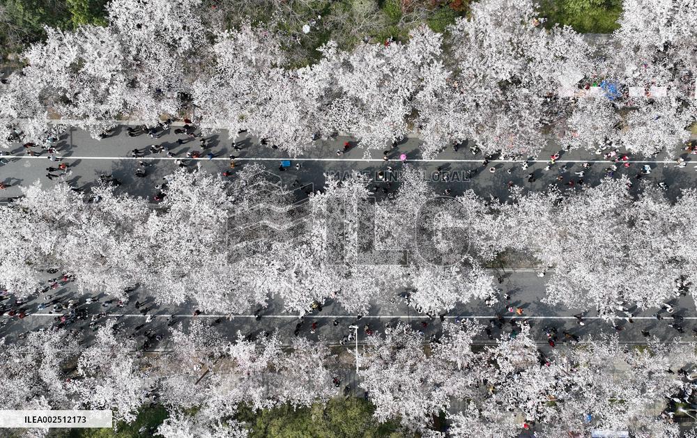 #CHINA-SPRING-FLOWERS (CN)