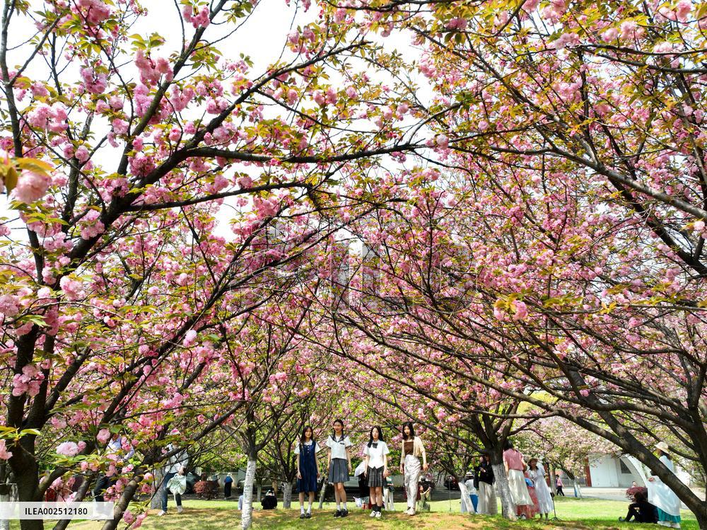 #CHINA-SPRING-FLOWERS (CN)