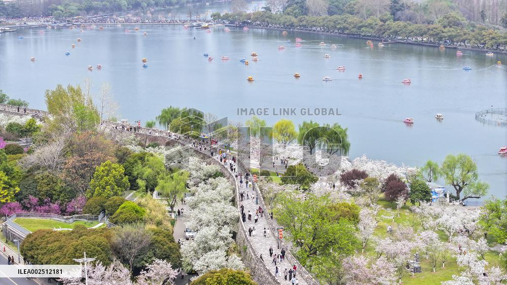 #CHINA-SPRING-FLOWERS (CN)