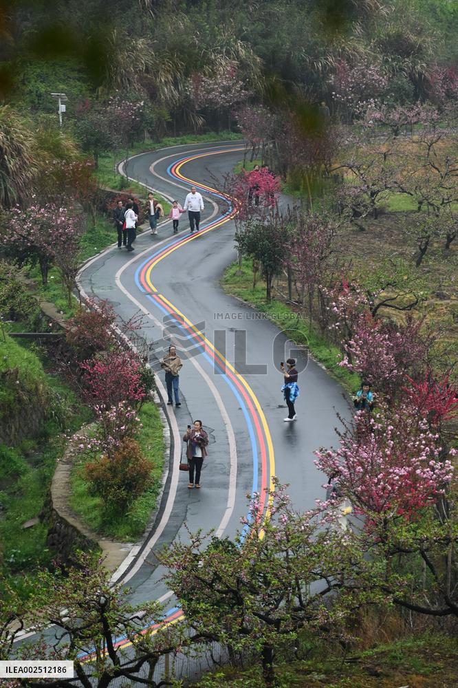 CHINA-SPRING-FLOWERS (CN)