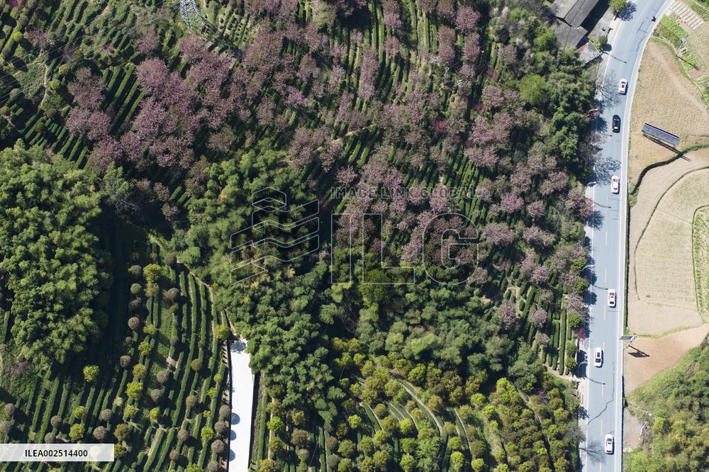 CHINA-SHAANXI-SPRING SCENERY (CN)