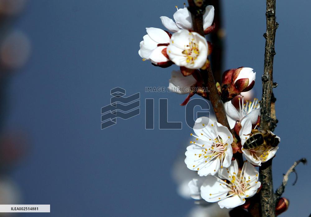 Spring in Dnipropetrovsk region