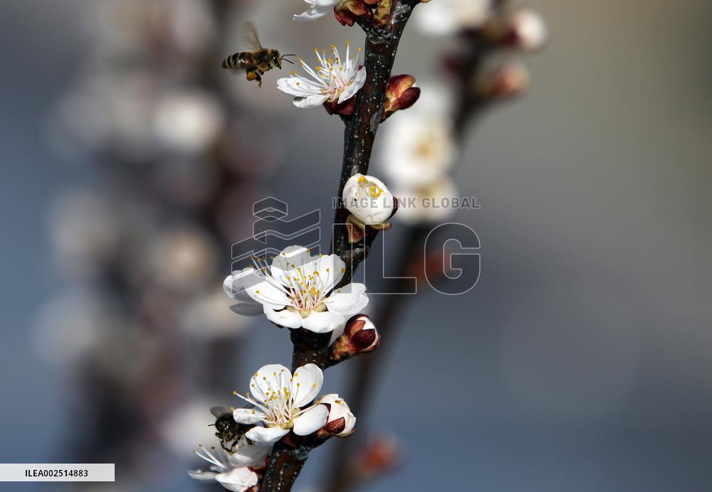 Spring in Dnipropetrovsk region