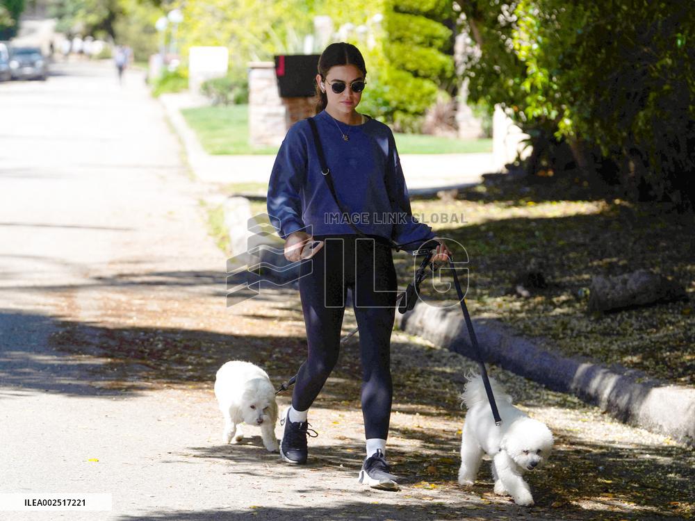 Lucy Hale Out Walking Her Dogs - LA