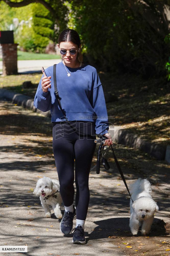 Lucy Hale Out Walking Her Dogs - LA