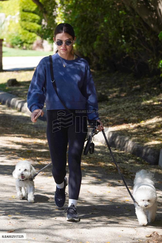 Lucy Hale Out Walking Her Dogs - LA