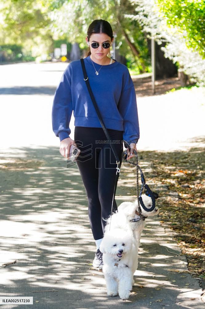 Lucy Hale Out Walking Her Dogs - LA
