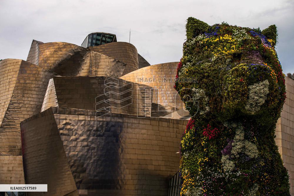 Guggenheim Museum of Modern Art - Bilbao