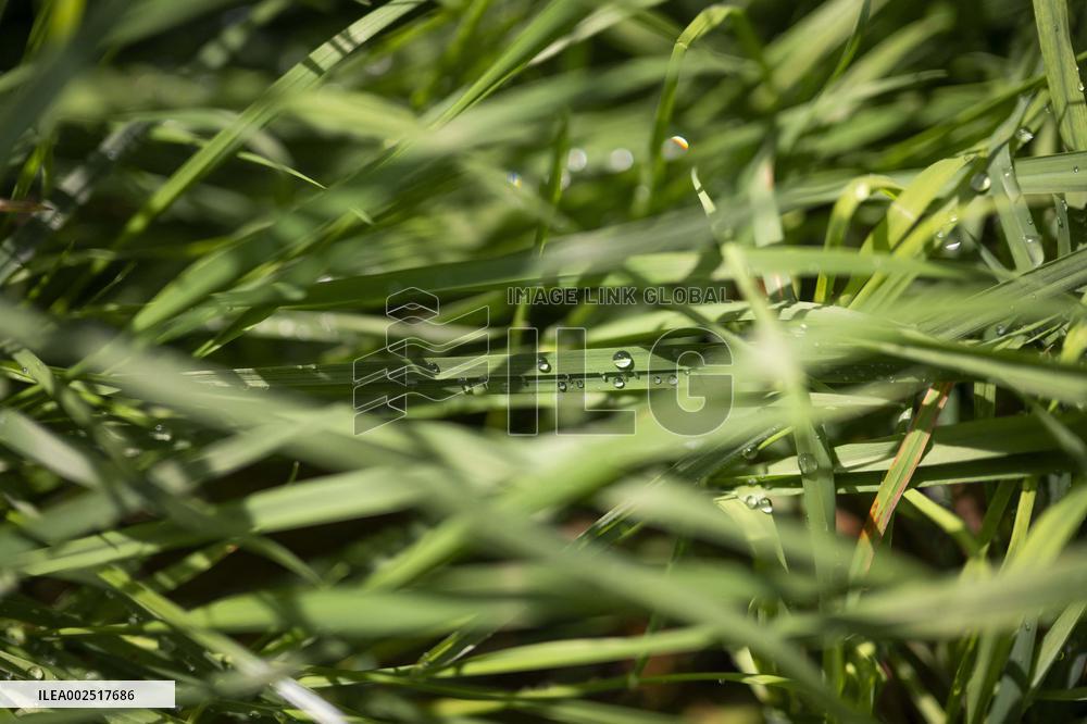 Illustration Morvan Region - France