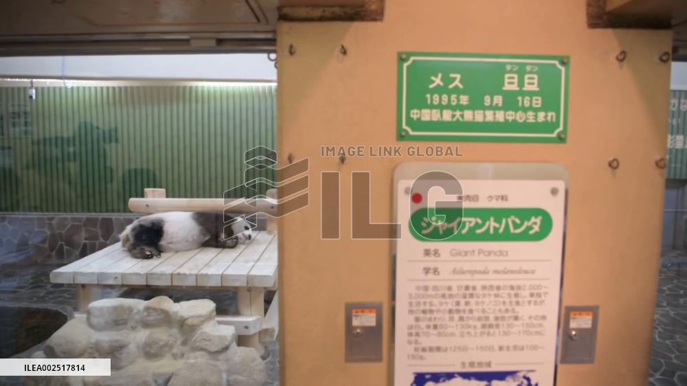 [Breaking News]Tan Tan, oldest panda in Japan, dies after more than 20-year stay