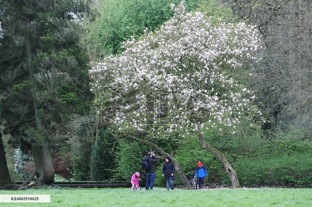 BELGIUM-BRUSSELS-FLOWERS