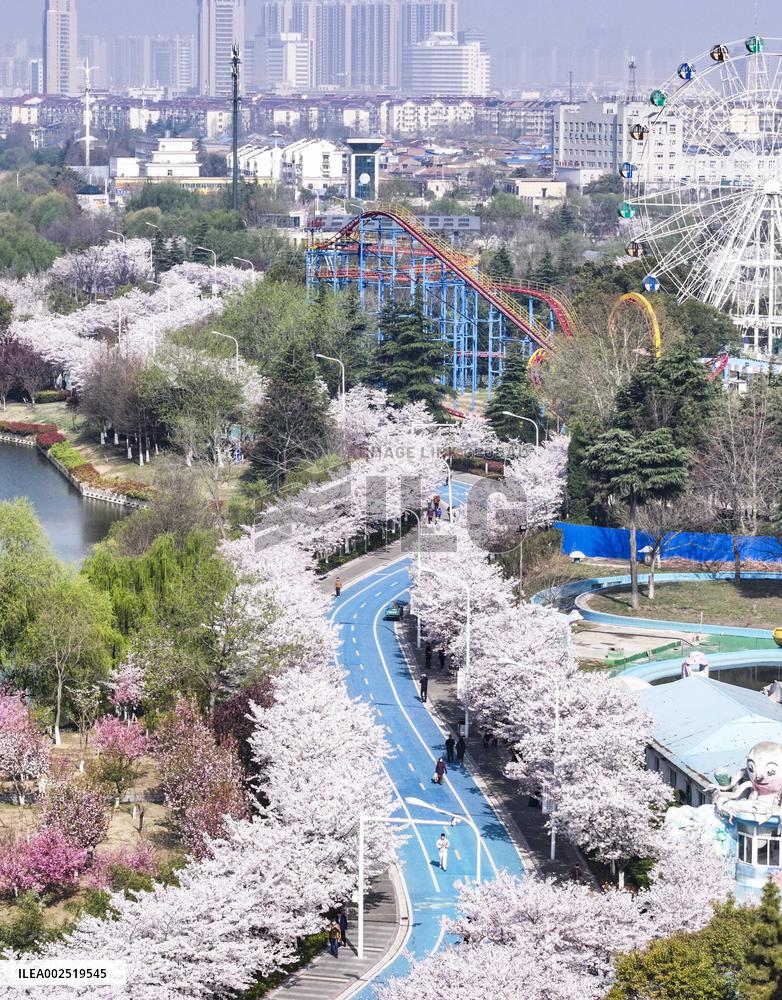 XINHUA PHOTOS OF THE DAY