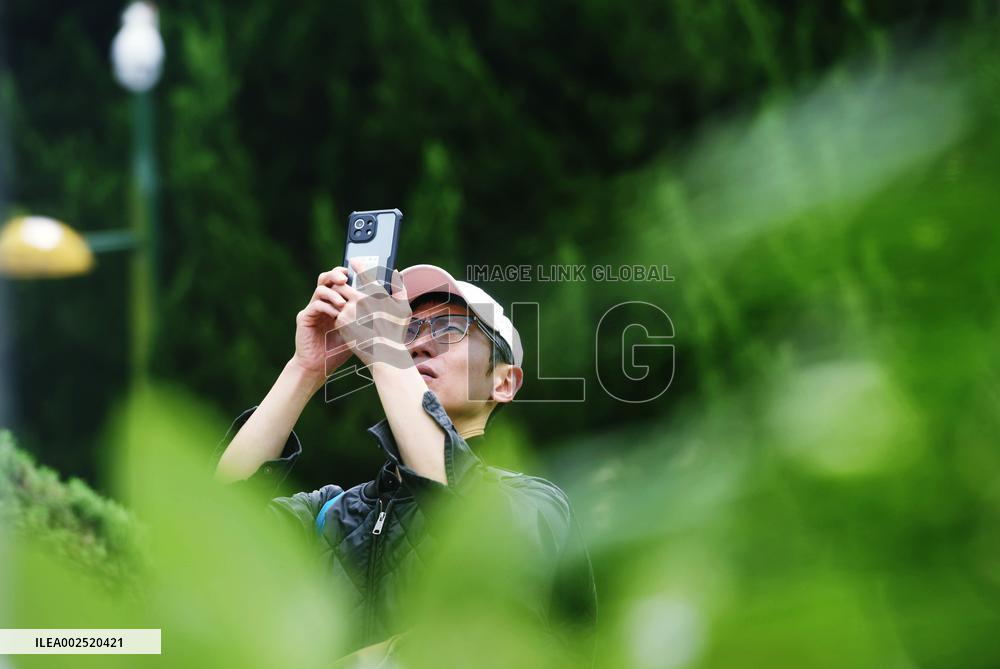 Qingming Festival in Hangzhou