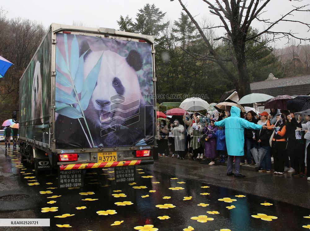 SOUTH KOREA-YONGIN-GIANT PANDA-FU BAO-FAREWELL