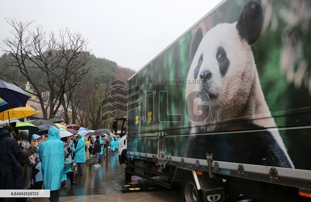 SOUTH KOREA-YONGIN-GIANT PANDA-FU BAO-FAREWELL