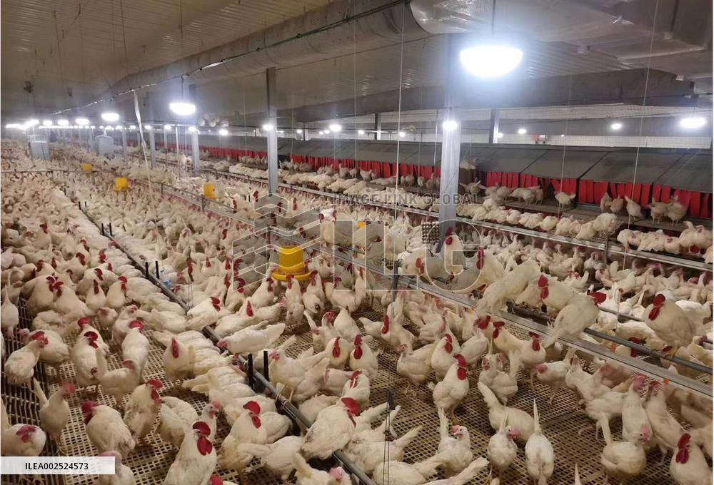 CHINA-NINGXIA-GERMAN ENTREPRENEURS-COOPERATION (CN)