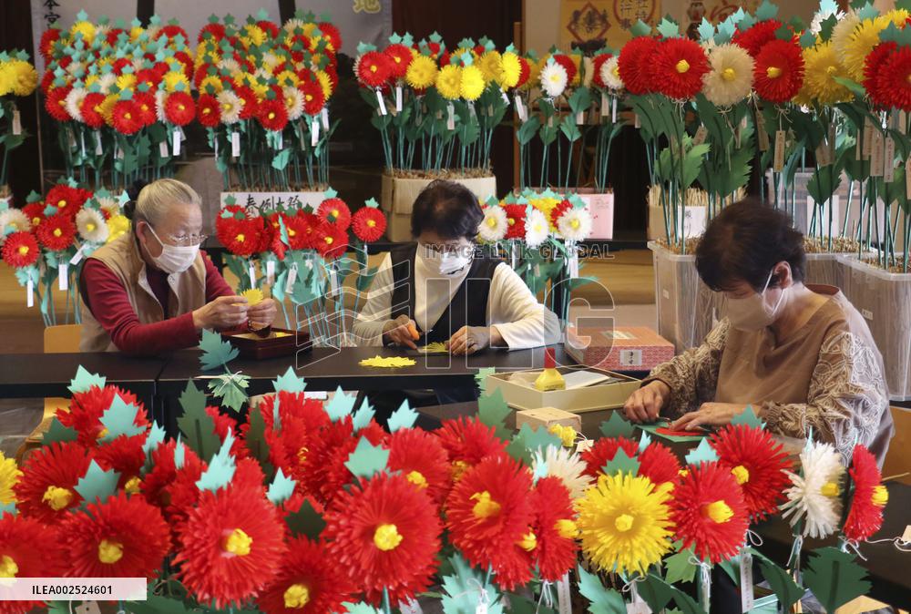Imitation chrysanthemum production peaks in Wakayama