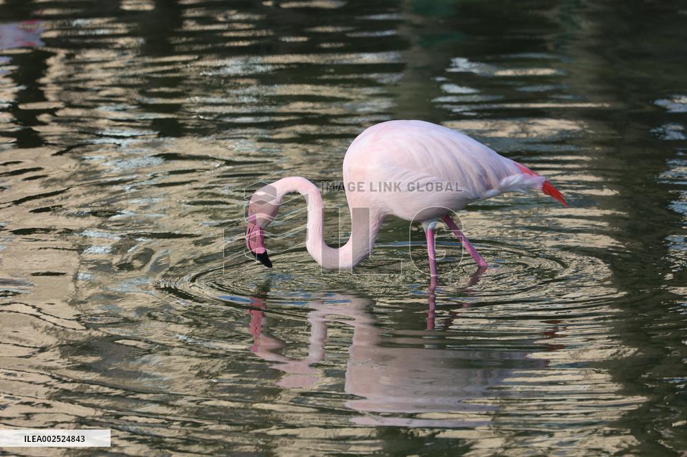 Kharkiv Zoo
