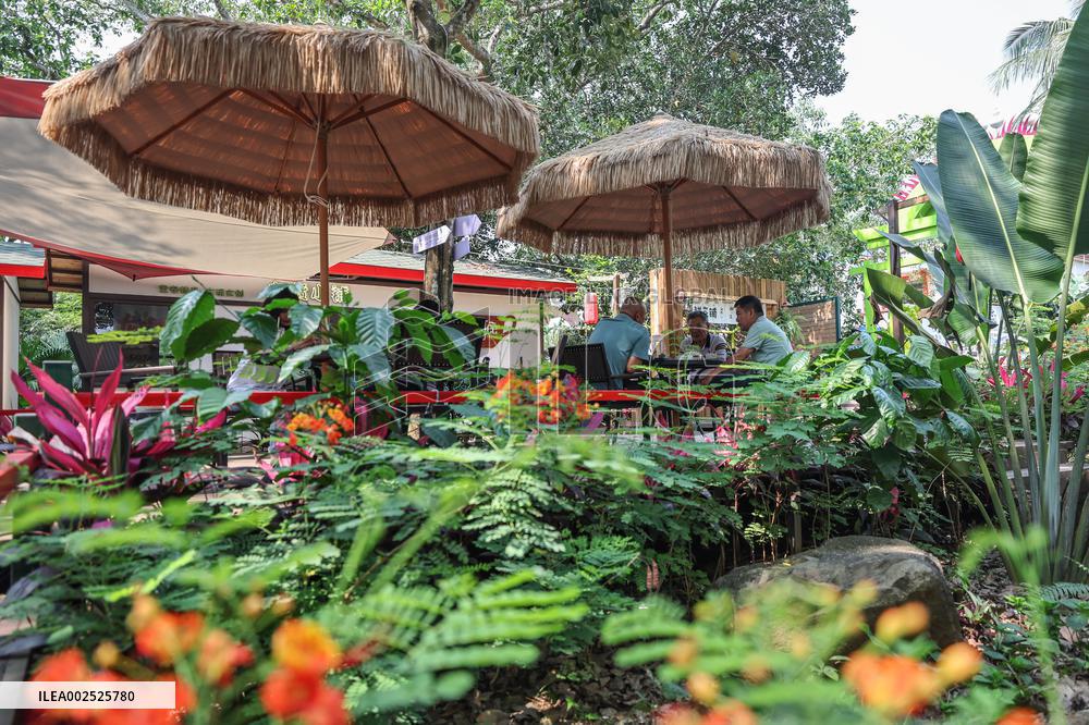 CHINA-HAINAN-WATER TOWER COFFEE-RURAL TOURISM (CN)