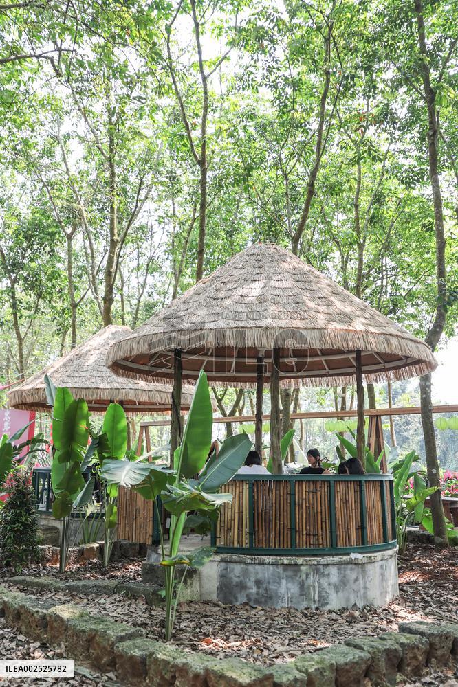 CHINA-HAINAN-WATER TOWER COFFEE-RURAL TOURISM (CN)