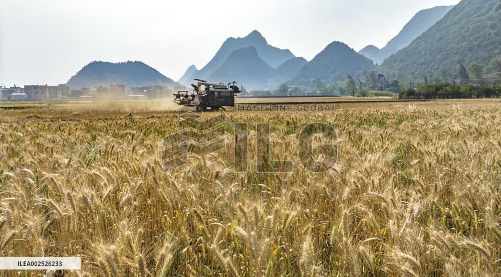 #CHINA-AGRICULTURE-SPRING-FARMING (CN)