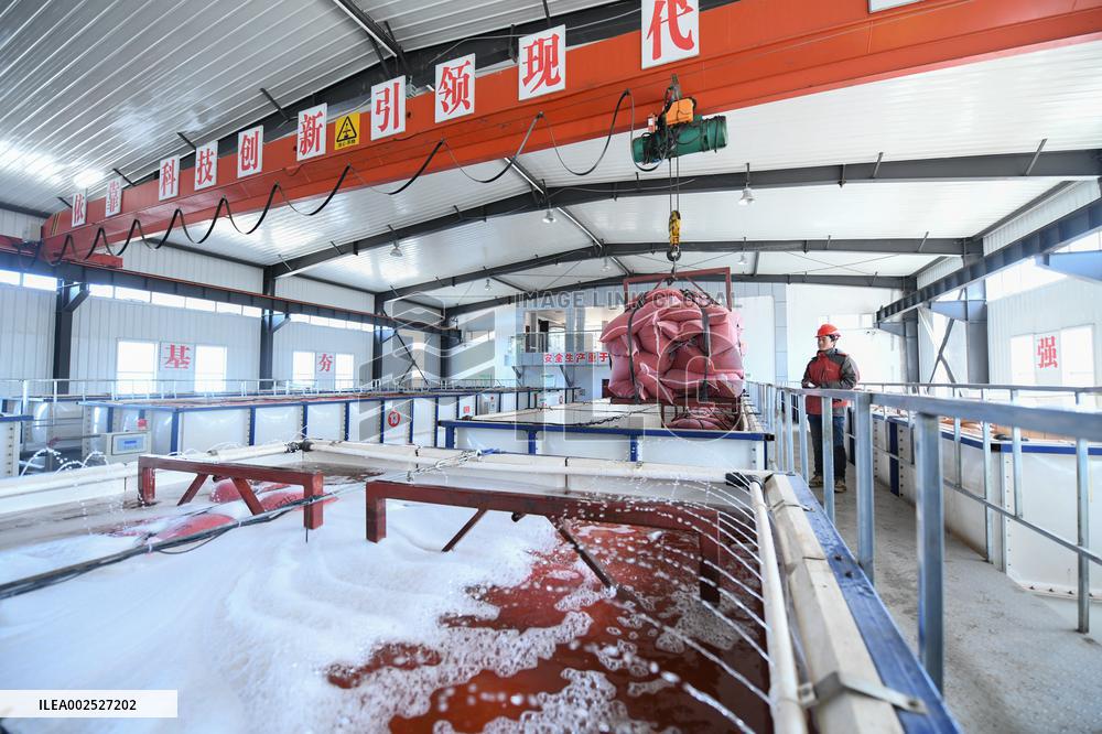 CHINA-HEILONGJIANG-PADDY RICE SOWING (CN)