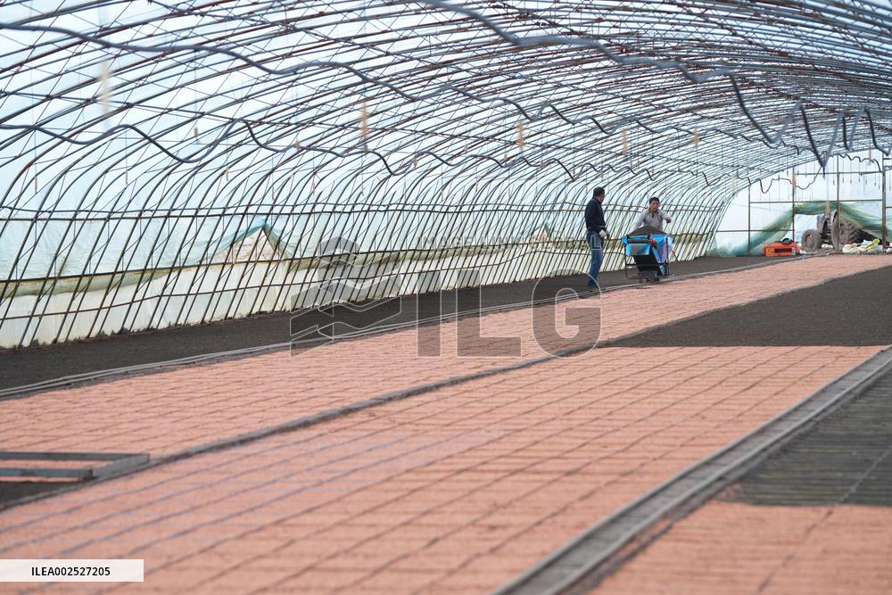 CHINA-HEILONGJIANG-PADDY RICE SOWING (CN)